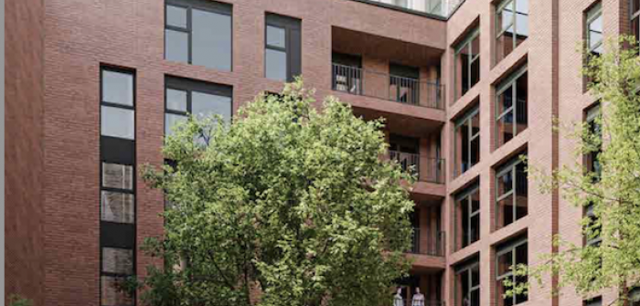 Rear from the rear of the building